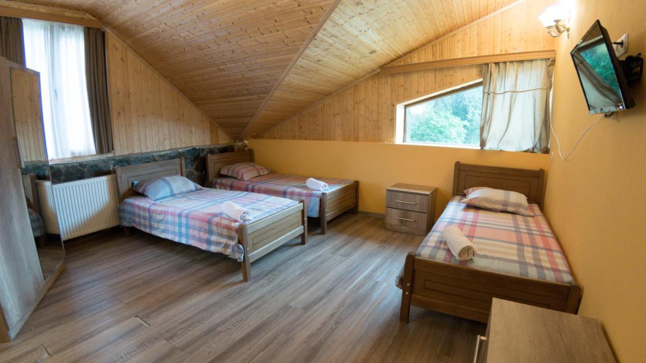 Hotel Eco House In Bakuriani Exterior photo