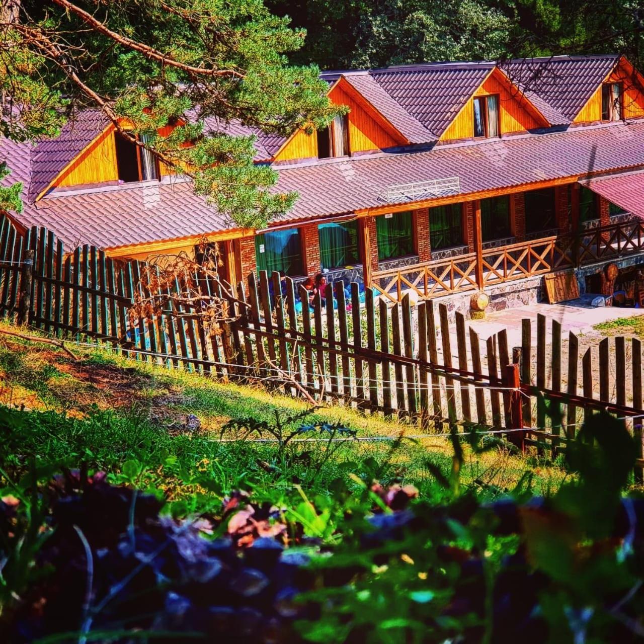 Hotel Eco House In Bakuriani Exterior photo