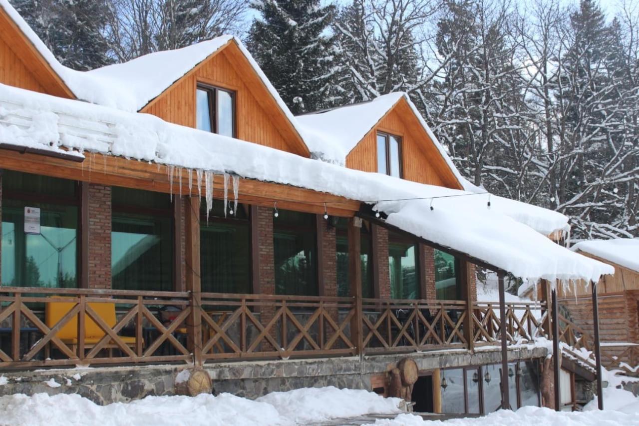 Hotel Eco House In Bakuriani Exterior photo